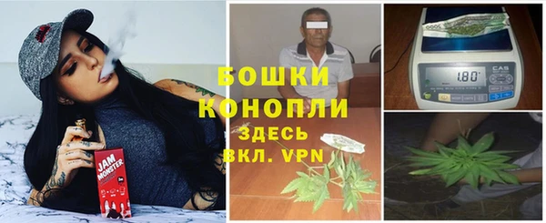 прущая мука Алзамай