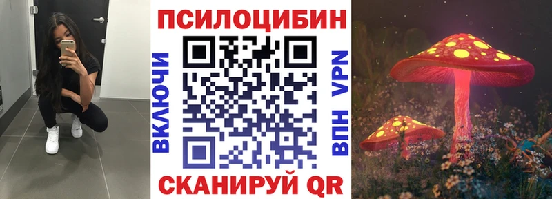 Купить где Воркута Галлюциногенные грибы Psilocybe